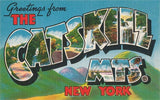 Greetings from the Catskill Mountains, New York