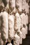 Vermont Salumi Red Wine & Garlic - Salami Chub