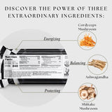 Oat Cacao Mushroom Bar