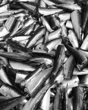 Açor Portuguese Sardines in Olive Oil-120gr