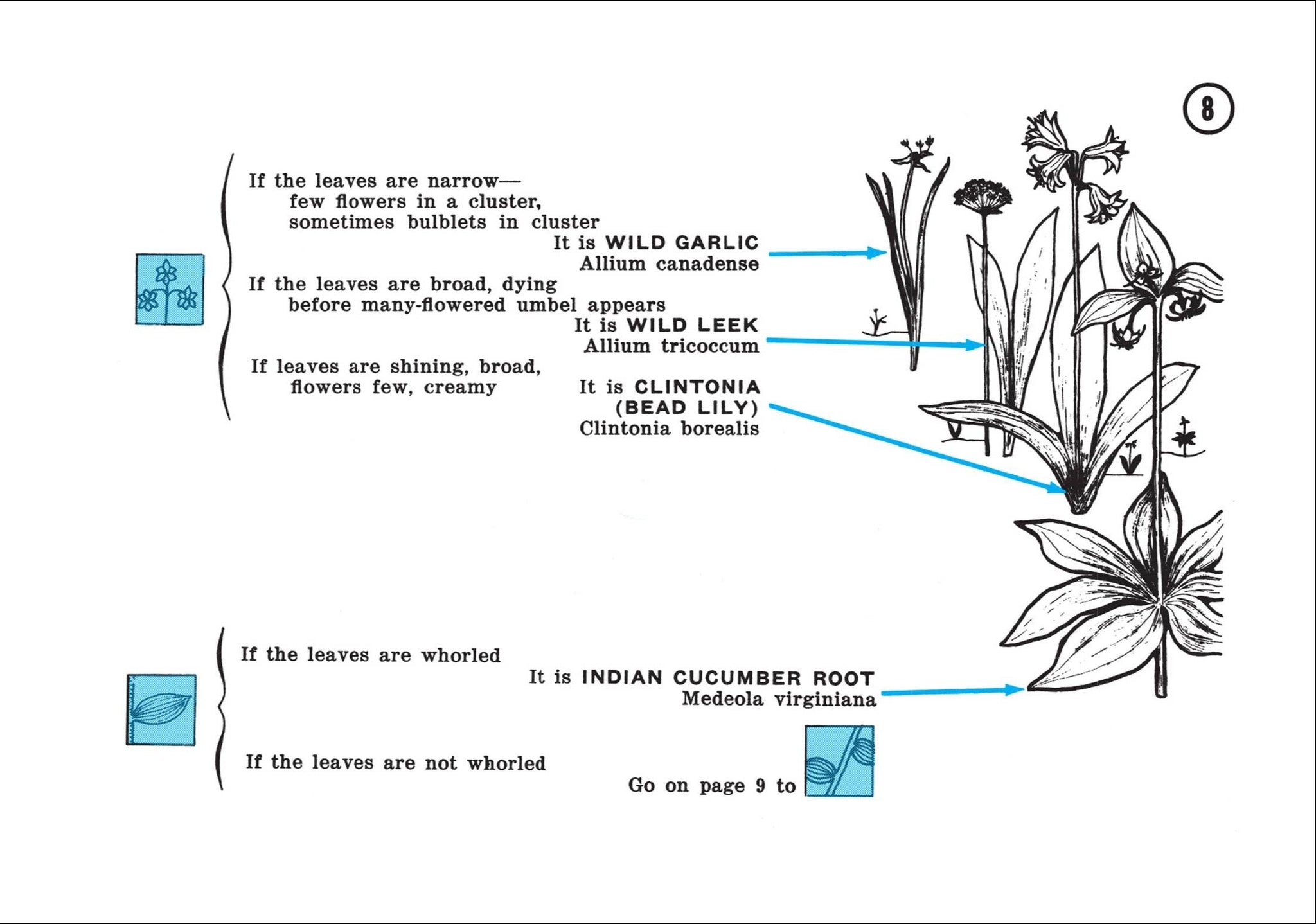 Flower Finder