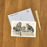 Postcard NS-823 Cats on Catskill Mts. Sign