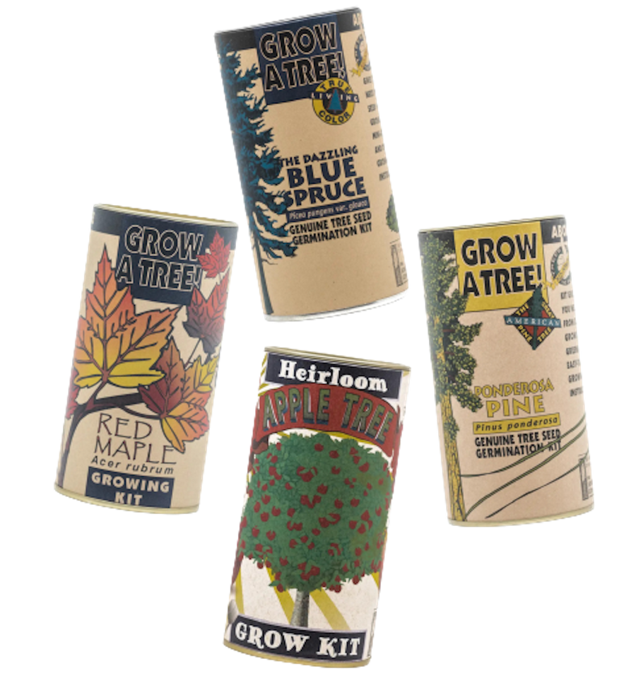 Seed Grow Kits -- Blue Spruce, Red Maple, Apple Tree, Ponderosa Pine