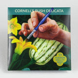 Cornells Bush Delicata Squash  from Hudson Valley Seed Co