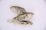 Little Trout Dog Treats