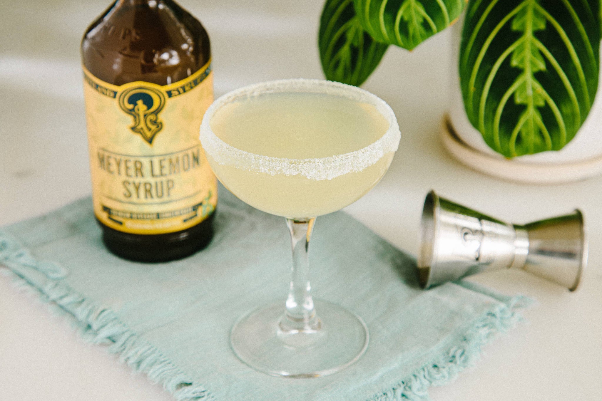 Portland Soda Syrups Meyer Lemon Syrup
