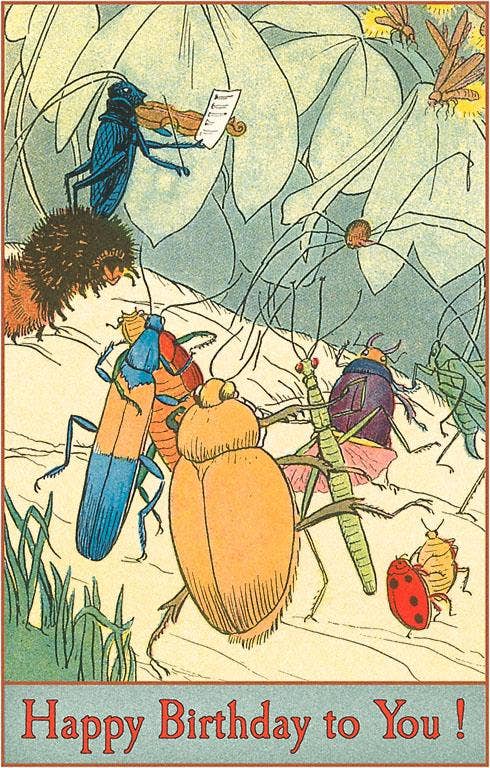 Happy Birthday Postcard