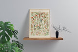 Fleurs Pours Tous by Adolphe Millot (French Flower Poster I): 13x19 Inches