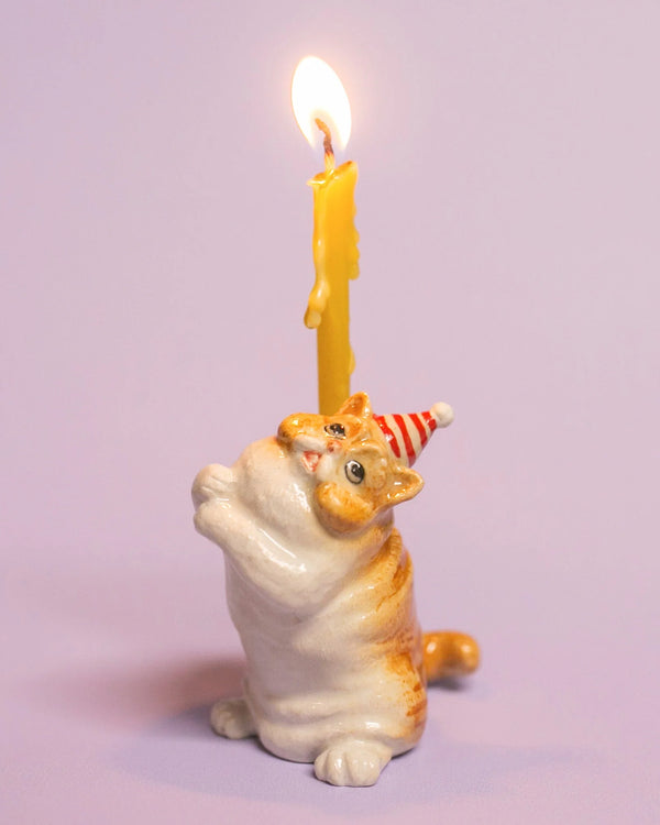 Exotic Shorthair Porcelain Cat Cake Topper