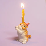 Exotic Shorthair Porcelain Cat Cake Topper