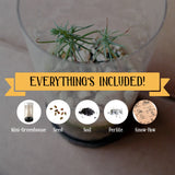 Seed Grow Kits -- Blue Spruce, Red Maple, Apple Tree, Ponderosa Pine