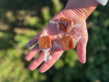 Pen & Cob Spruce Syrup Caramels