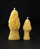Preorder: 100% Beeswax Morel Mushroom Candles