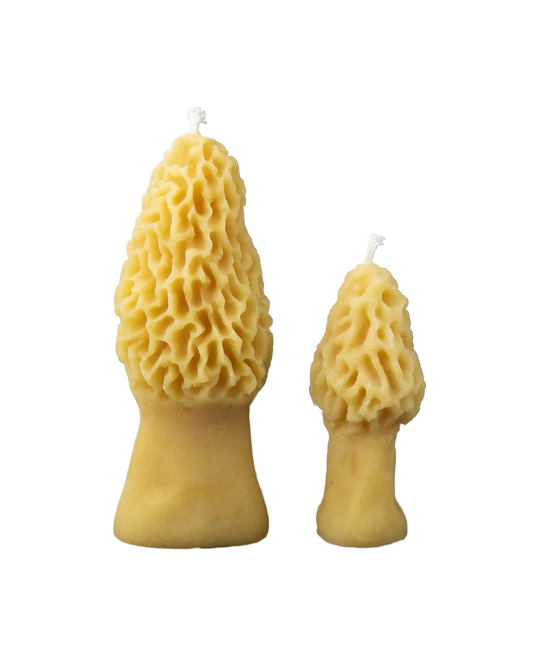 Preorder: 100% Beeswax Morel Mushroom Candles