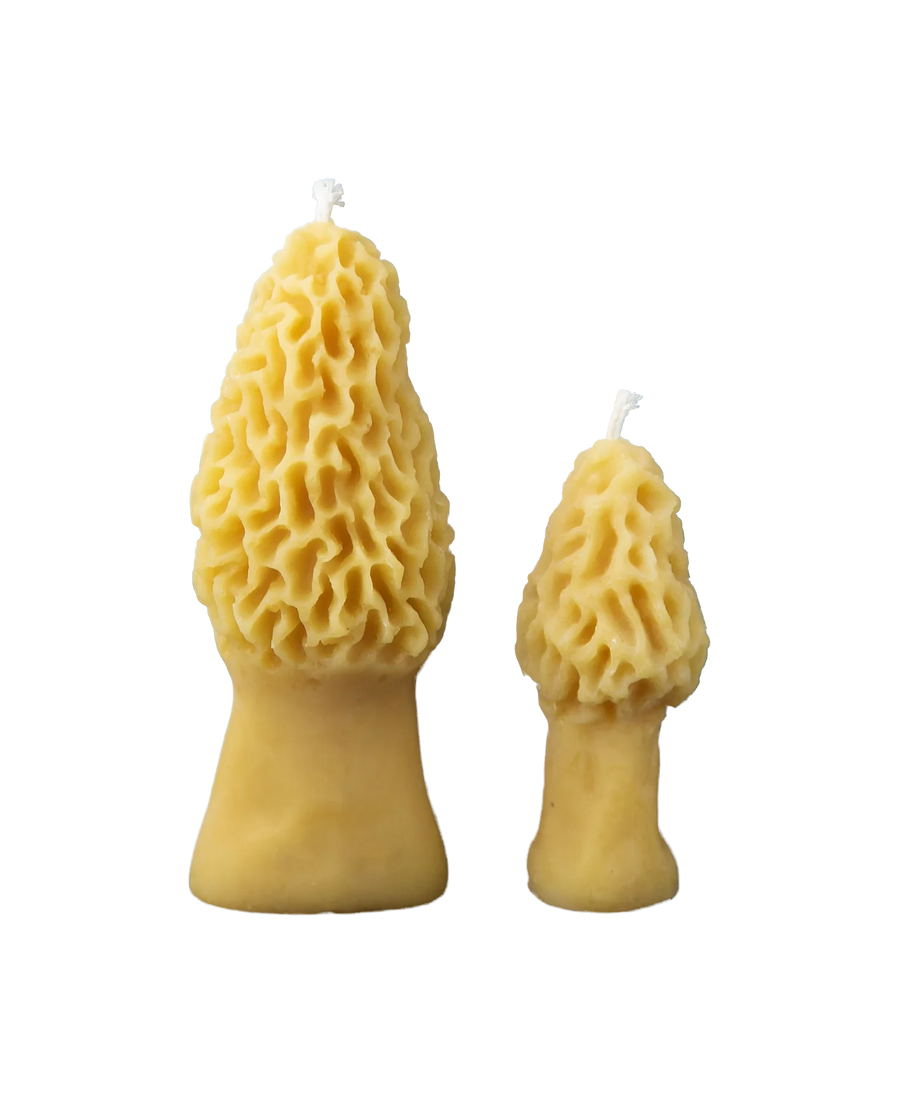 Preorder: 100% Beeswax Morel Mushroom Candles
